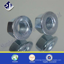 Hex Flange Nut with Blue Zinc